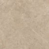 Lightstone Beige mat 598x598 T1