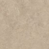 Lightstone Beige mat 598x598 T2