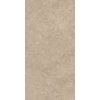 Lightstone Beige mat 598x1198 T1