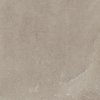 LOVSTONE TAUPE 59.8x59.8 T5