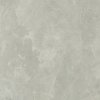 FILLSTONE GREY 59,8x59,8 T5