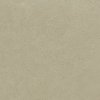 BERGDUST BEIGE MAT 59,8x59,8 T2 min