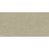 BERGDUST BEIGE MAT 59,8x119,8 T4 min