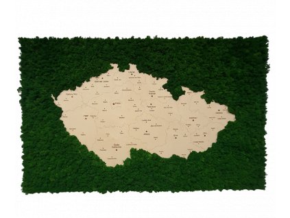 Mechový obraz_150x100cm - MAPA ČR zelený lišejník
