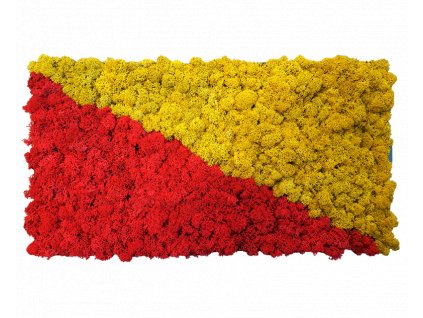 Mechový obraz_54x30cm - červenožlutý červený a žlutý lišejník