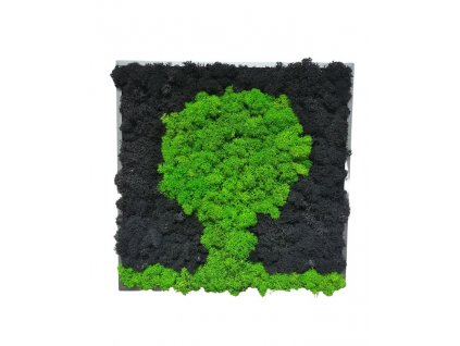 Mechový obraz_30x30cm - STROM  černý a světle zelený lišejník
