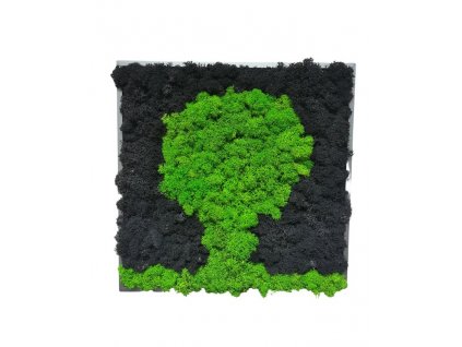 Mechový obraz_30x30cm - STROM černý a světle zelený lišejník