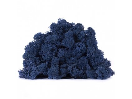 blue lichen 650x650