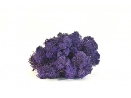 REINDEER MOSS PURPLE 6