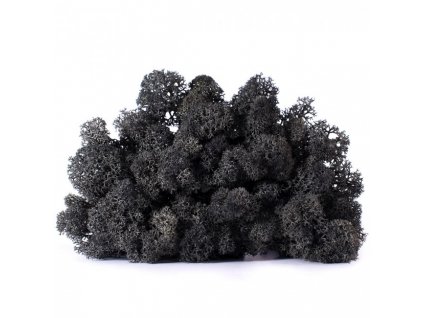 black lichen 650x650
