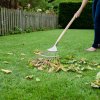 70100062 stainless steel long handled lawn leaf rake long shot kent and stowe 70100062