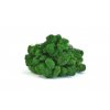 REINDEER MOSS NATURE GREEN 5