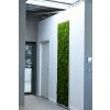 HAIR MOSS WALL 2