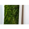 HAIR MOSS WALL