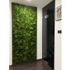 HAIR MOSS WALL 3