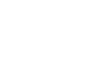 icon-virus-w