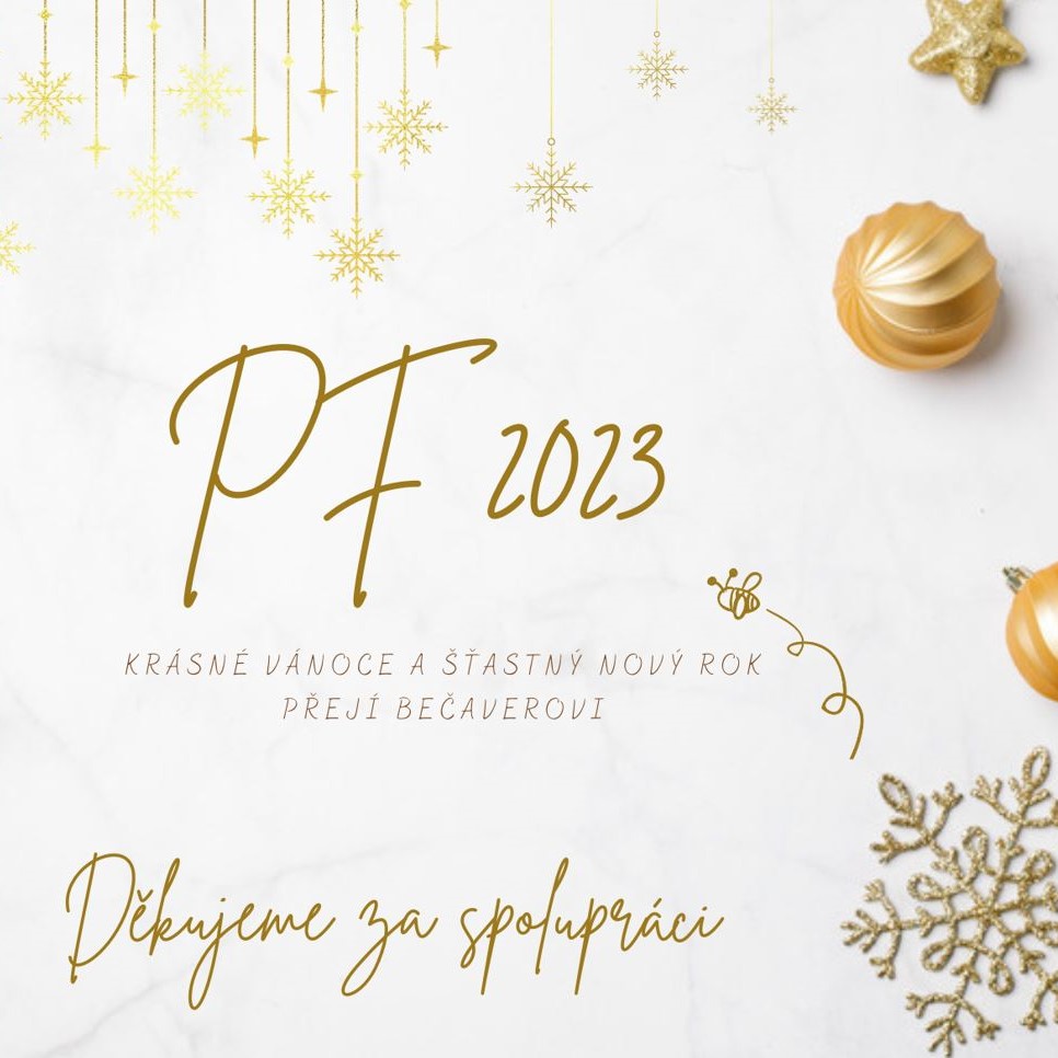 KRÁSNÉ VÁNOCE A ŠŤASTNÝ NOVÝ ROK