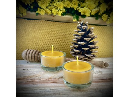 A5A8074C B49C 41E8 83E5 33C6763675A1