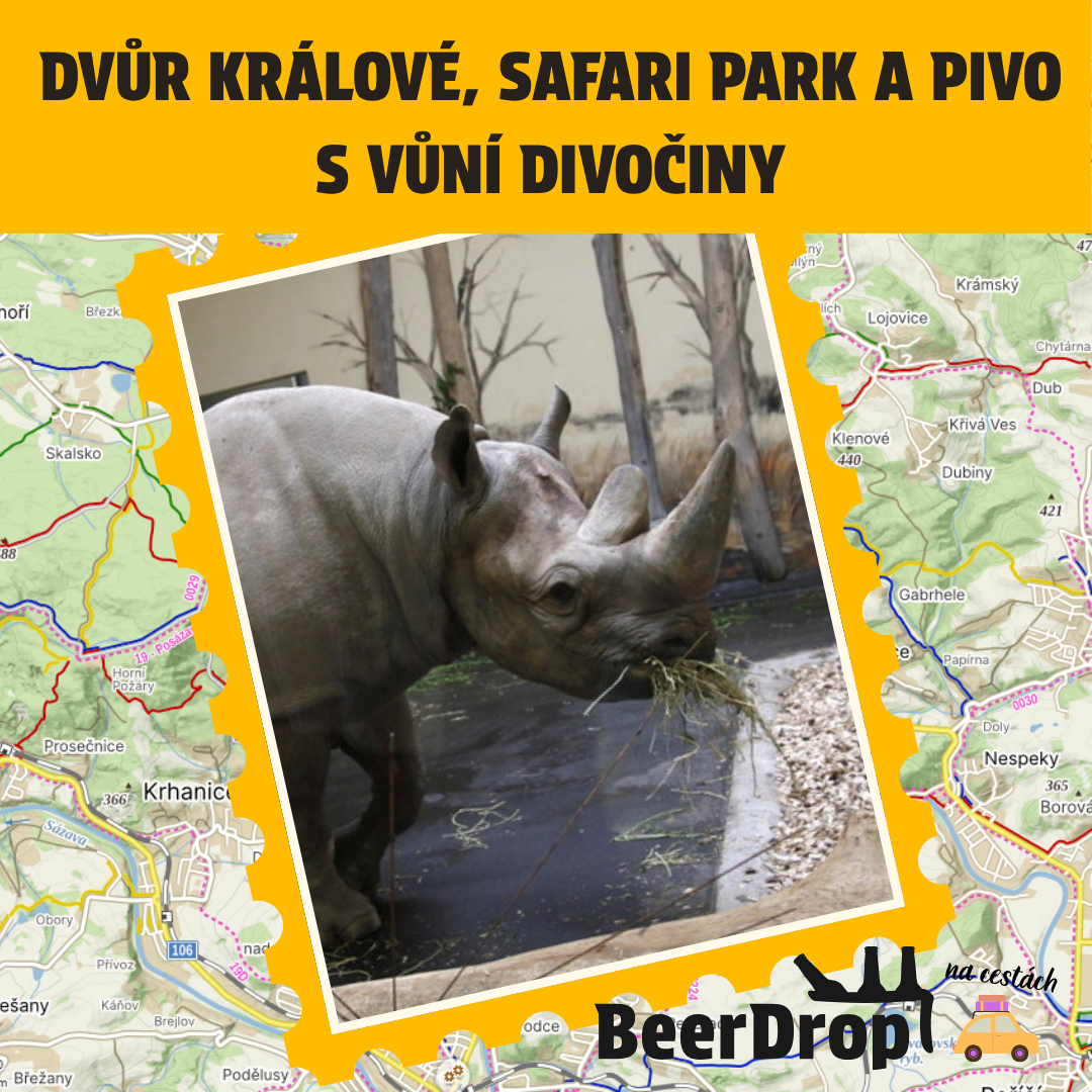 Beer Trip Dvůr Králové: Safari Park a pivo s vůní divočiny