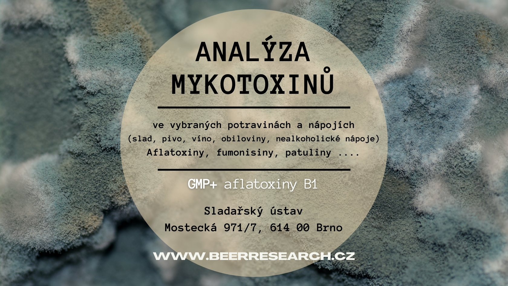 mykotoxiny, aflatoxiny, gmp+