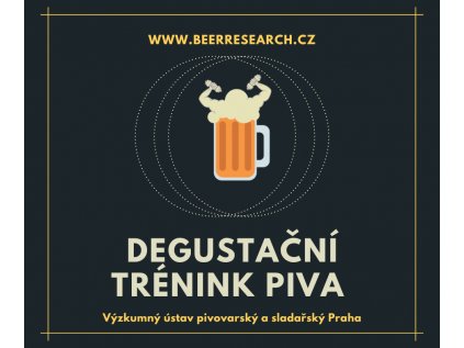 Degustační trénink piva, hodnocení piva