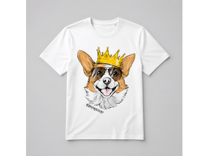 corgi pánský2