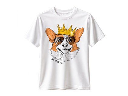 corgi detske