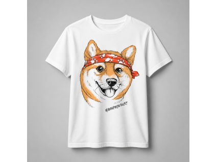 holčička shiba 6