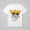corgi pánský2