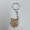 shiba 