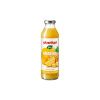 Ananas 100% 0,5l (8ks)  BIO