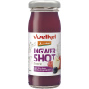shot ingwer beeren 95ml dem ew 2198400187