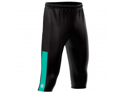 netodik fc pisek traneri