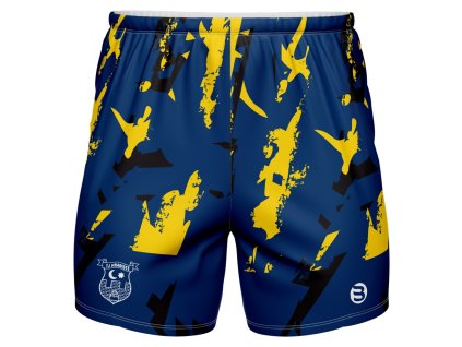 Tréninkové pánské kraťasy