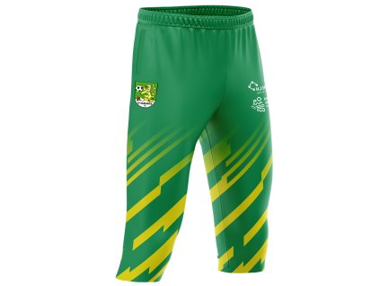 netodik pd taborsko kopie