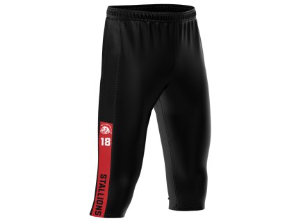 SKJ Junior Žatec NETODIK