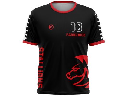 KOROK KK pd seda kopie kopie