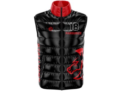ZIROVEST pd