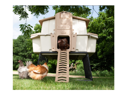 ultimate chicken coop 1