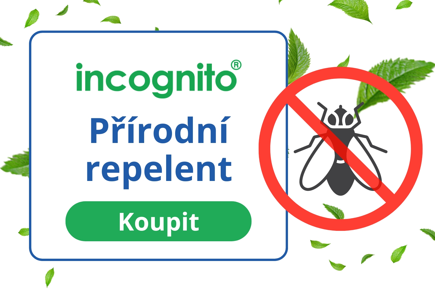 incognito