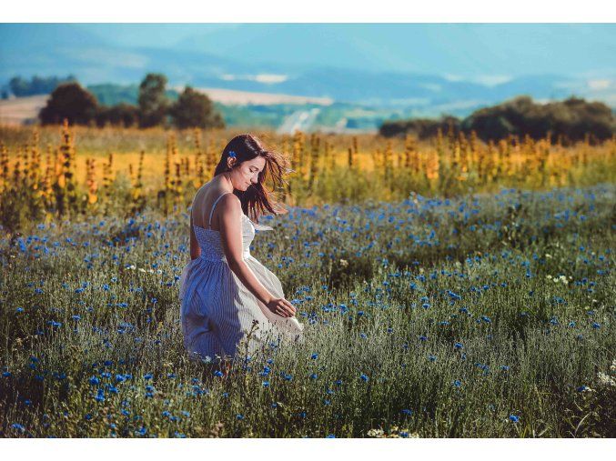 Biotatry plantáž small