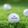 3373 3373 3373 3373 3373 golf1