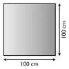 LB 21.02.894.2 sklo pod kamna 8mm, 100x100cm, tvar čtverec