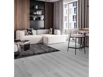 dab bialy 1 702x725