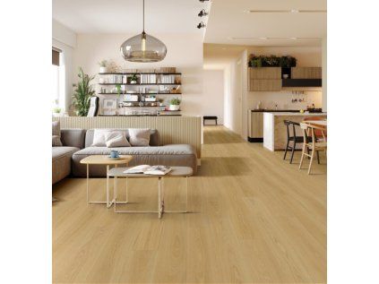 dab zloty 1 702x725