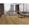 Oak Belize scene