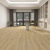 Oak Reggio scene