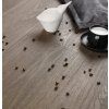 02 10 2024 sesja barlinek balsamiczny 6 kopia 702x725