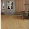 dab zloty 2 702x725