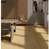 large zloty closeup 2 shadow 702x725